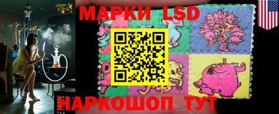 a pvp Кингисепп