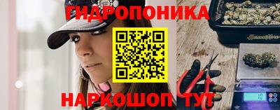 a pvp Кингисепп