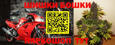 гидра Кимры