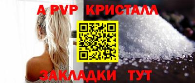 a pvp Кингисепп