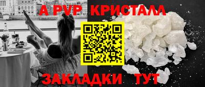 a pvp Кингисепп